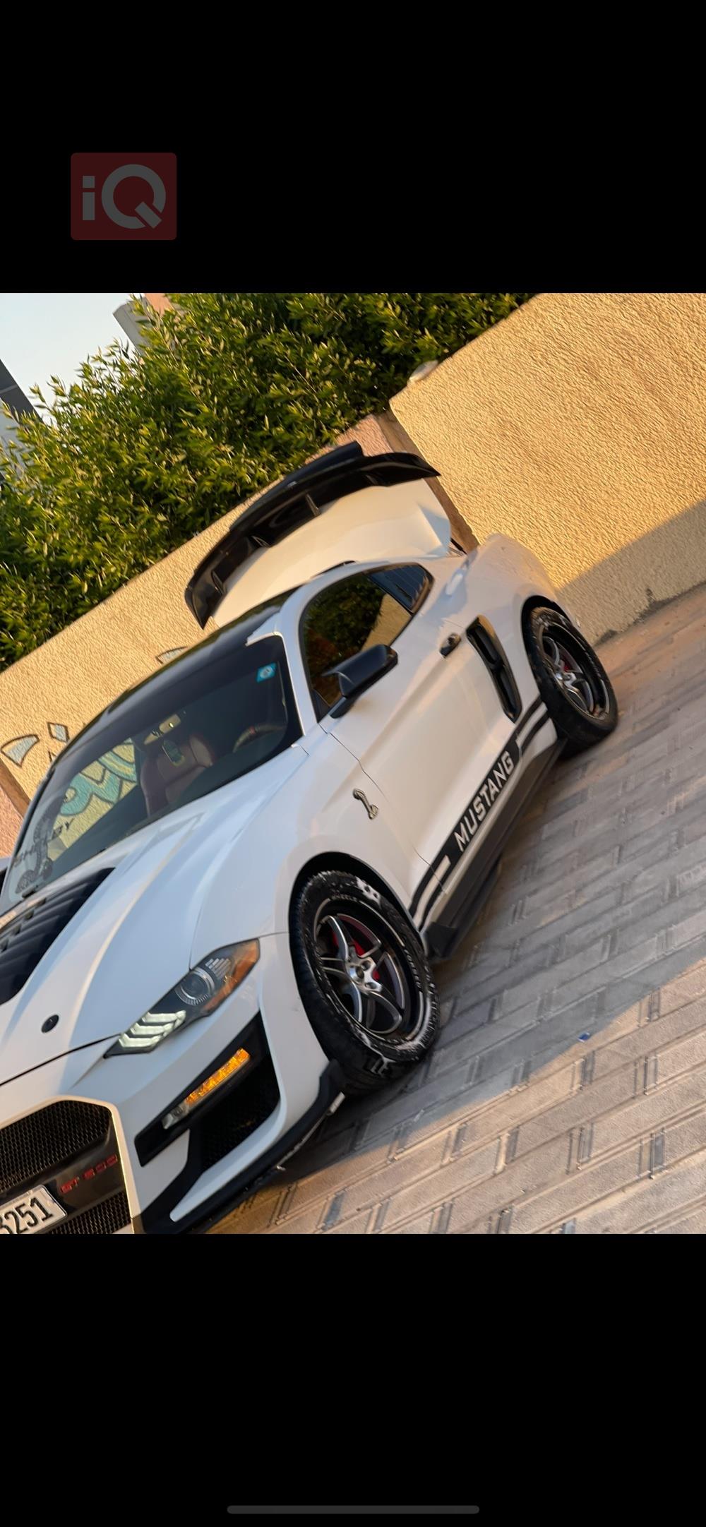 فورد موستانج